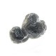 Truffe Noire Fraîche d'Hiver du Périgord (Tuber Melanosporum) de 27,5g +/-2,5g