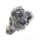 Truffe Noire Fraîche d'Hiver du Périgord (Tuber Melanosporum) de 47,5g +/-2,5g