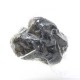 Truffe Noire Fraîche d'Hiver du Périgord (Tuber Melanosporum) de 52,5g +/-2,5g