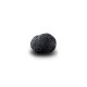 Truffe Noire Fraîche d'Hiver du Périgord (Tuber Melanosporum) de 12,5g +/-2,5g