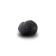 Truffe Noire Fraîche d'Hiver du Périgord (Tuber Melanosporum) de 27,5g +/-2,5g