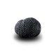 Truffe Noire Fraîche d'Hiver du Périgord (Tuber Melanosporum) de 57,5g +/-2,5g