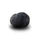 Truffe Noire Fraîche d'Hiver du Périgord (Tuber Melanosporum) de 62,5g +/-2,5g