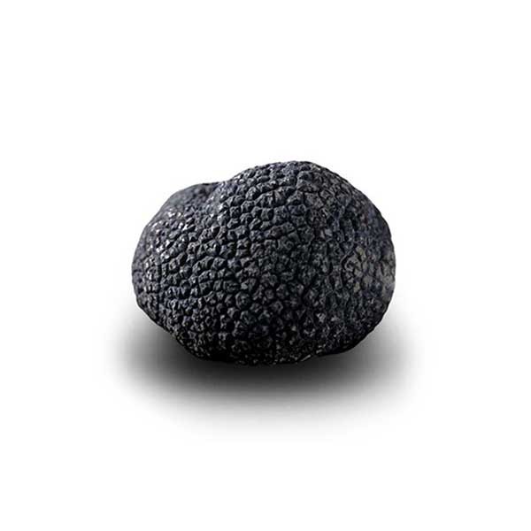 Brisures de truffe noire Tuber Melanosporum 50g - Carré de Boeuf