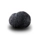 Truffe Noire Fraîche d'Hiver du Périgord (Tuber Melanosporum) de 72,5g +/-2,5g