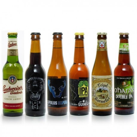 Pack de 6 bières du monde (Belgique, Espagne, Irlande, Suède) 198cl
