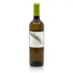 Château Jonc Blanc Sens du Fruit "Fleur" Vin de France Blanc Sec BIO 2019 75cl