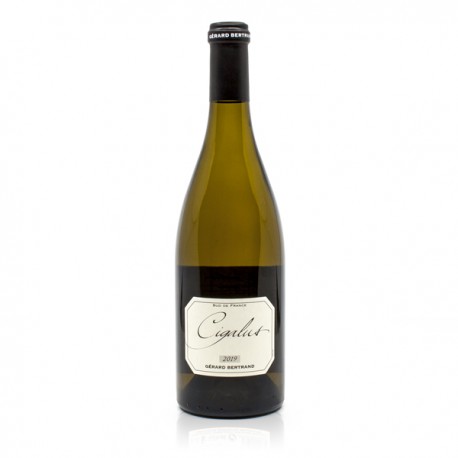 Domaine de Cigalus IGP Aude Hauterive Blanc 2019 Bio 75cl