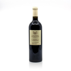 Château les Tours des Verdots AOC Côtes de Bergerac Rouge 2019 75cl