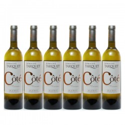 Carton de 6 Bouteilles du Domaine Tariquet Coté Tariquet 2022 6x75cl