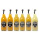 Lot de 6 Nectars de fruits artisanaux 6x25cl soit 150cl (Fruits jaunes)