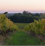 Vue du Domaine Pajot