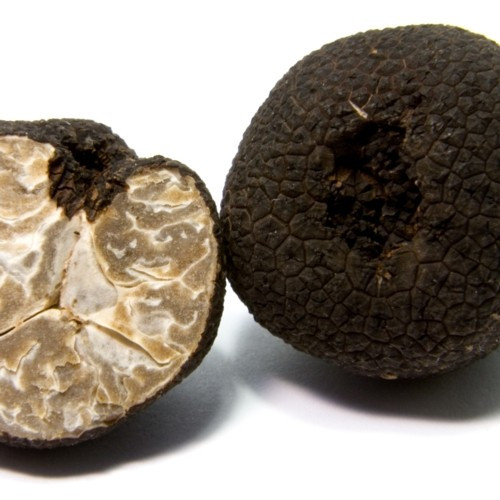 Jus de Truffes du Cellier du Périgord