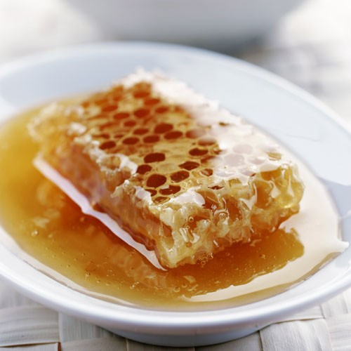 Miel du Périgord Noir Toutes Fleurs du Cellier du Périgord