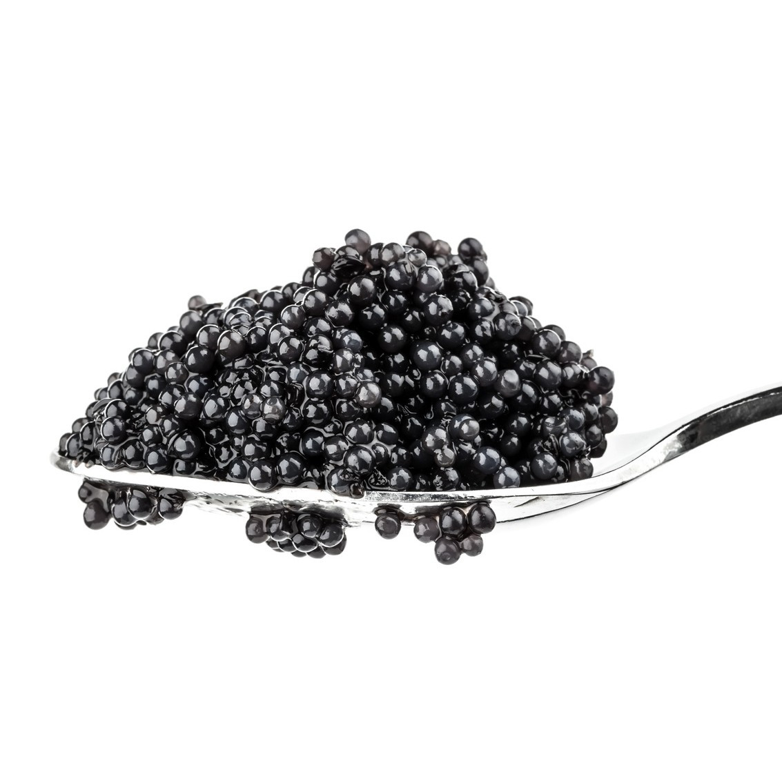 Caviars d'Aquitaine, les producteurs - Achat en 24h
