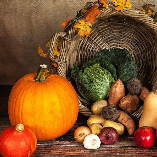 Plaisirs d'Automne