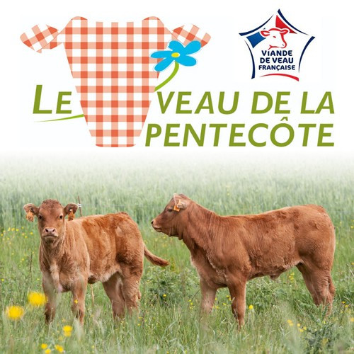 Veau de Pentecôte