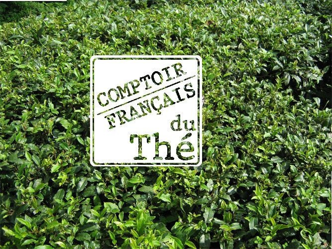 Comptoir Français du Thé
