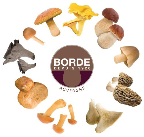 Borde