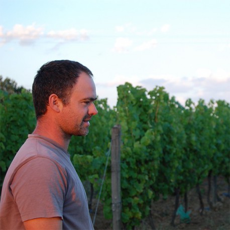 Vignoble Julien Auroux