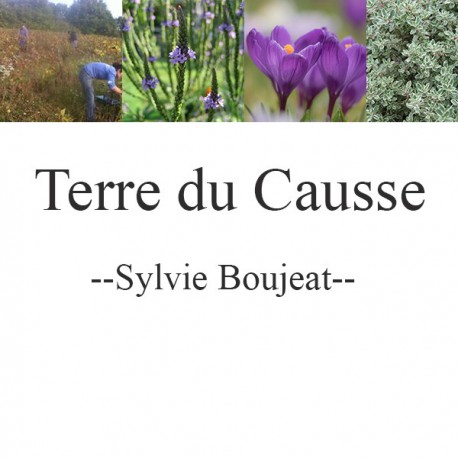 Terre du Causse 