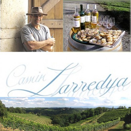 Domaine Camin Larredya