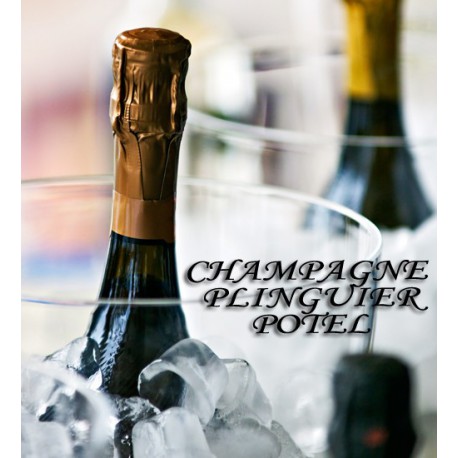 Champagne Plinguier-Potel