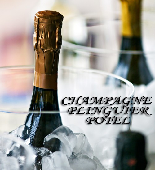 Champagne Plinguier-Potel