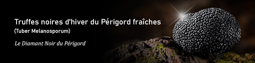 Truffe Noire Fraîche d'Hiver du Périgord (Tuber Melanosporum) de 62,5g
