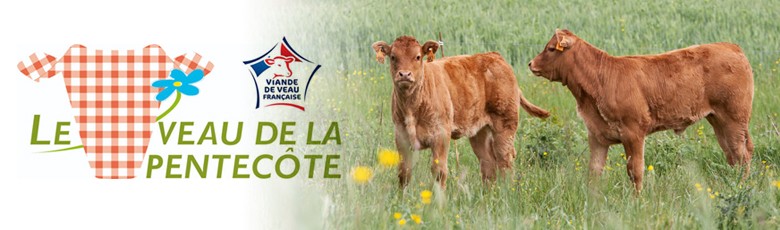 Veau de Pentecôte